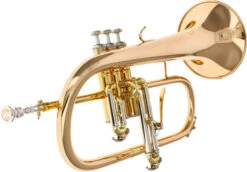 B&S Challenger I 3145G-L -Bester Musikinstrumente Laden 04040007 3 1280x1280