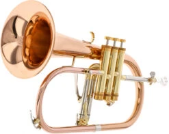 Eastman EFH-601R -Bester Musikinstrumente Laden 04139005 3 1280x1280