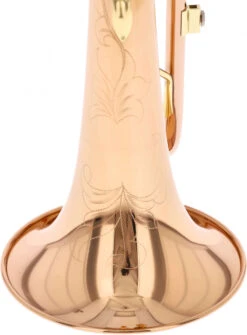 Eastman EFH-601R -Bester Musikinstrumente Laden 04139005 6 1280x1280