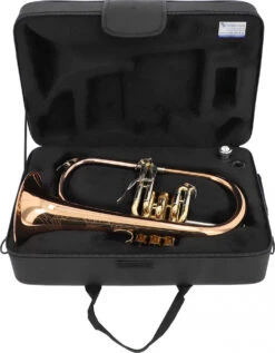 Eastman EFH-601R -Bester Musikinstrumente Laden 04139005 7 1280x1280