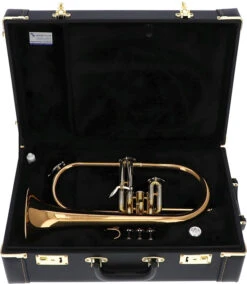 Jupiter JFH1100RQ 18 Jupiter JFH1100RQ -Bester Musikinstrumente Laden 04285009 9 1280x1280