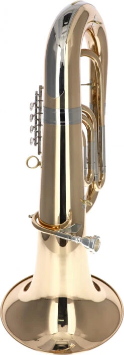 Reisser Academia RTU-281 -Bester Musikinstrumente Laden 10521021 6 1280x1280