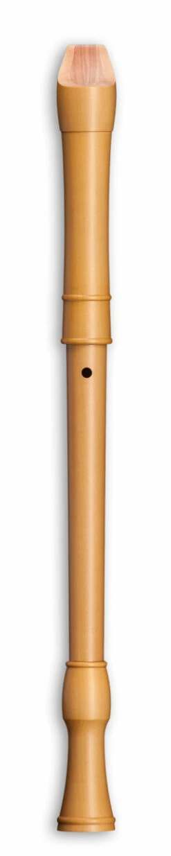 Mollenhauer Canta 2466 8 Mollenhauer Canta 2466 -Bester Musikinstrumente Laden 13410335 2 1280x1280