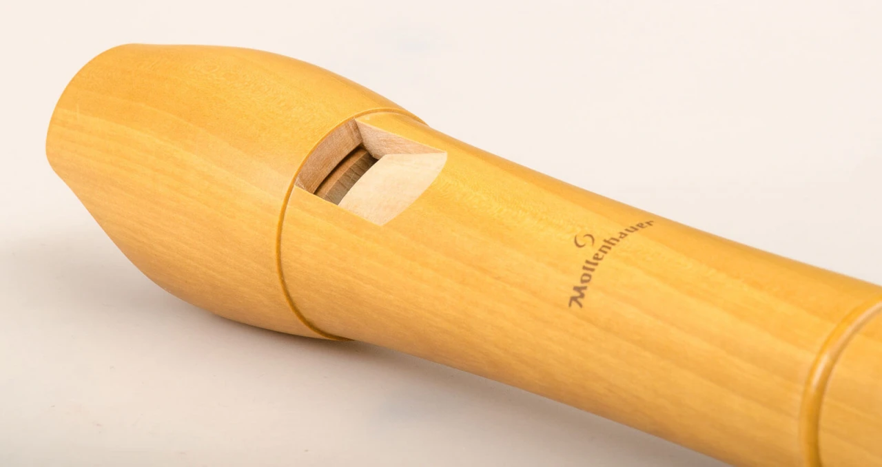 Mollenhauer Canta 2466 4 Mollenhauer Canta 2466 – Bild 4