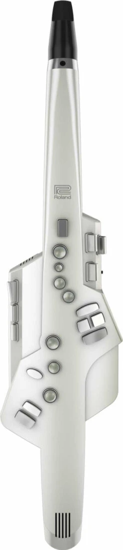 Roland Aerophone AE-10