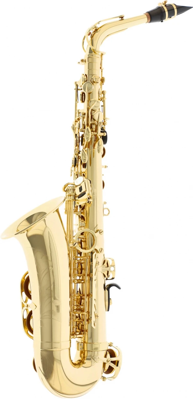 Selmer Axos SE-AAXL 2 Selmer Axos SE-AAXL – Bild 2