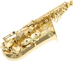 Selmer Axos SE-AAXL 12 Selmer Axos SE-AAXL -Bester Musikinstrumente Laden 18595031 3 1280x1280