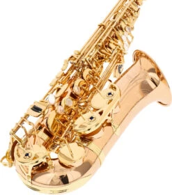 Yanagisawa A-WO20 Elite 12 Yanagisawa A-WO20 Elite -Bester Musikinstrumente Laden 18745023 3 1280x1280
