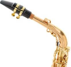 Yanagisawa A-WO20 Elite 15 Yanagisawa A-WO20 Elite -Bester Musikinstrumente Laden 18745023 6 1280x1280