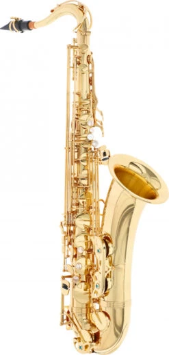 Yanagisawa T-WO1 Professional