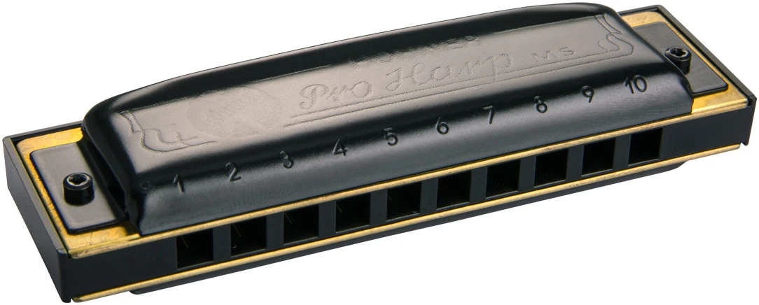 Hohner Pro Harp MS D